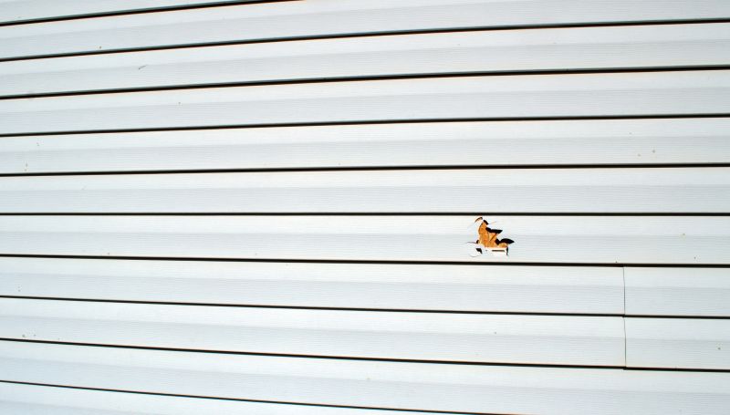 Siding Repair Solutions