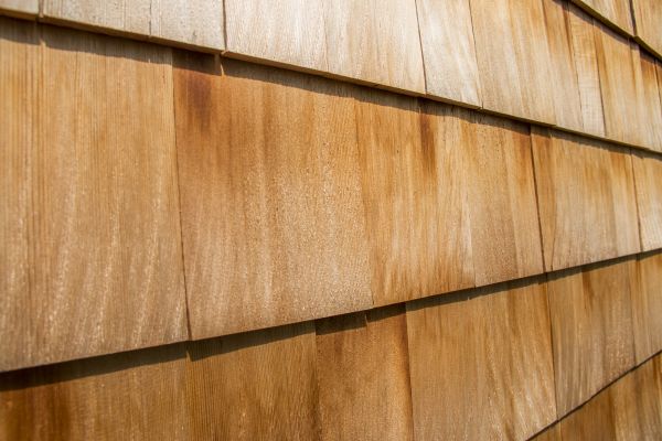 Cedar Siding Replacement in Biloxi