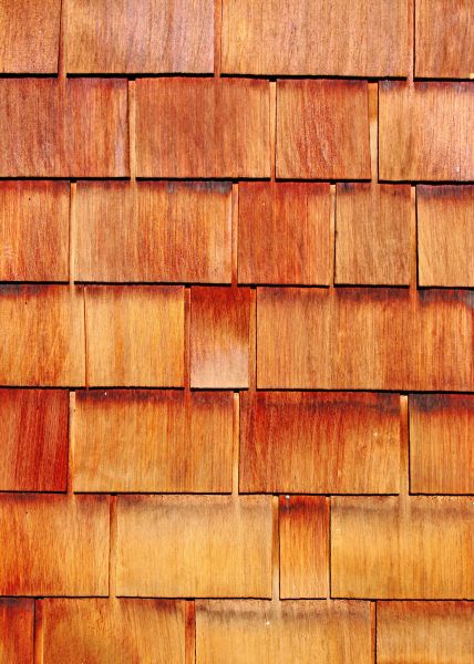 Cost of Wood Siding Replacement in Biloxi